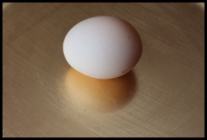 Egg 810
